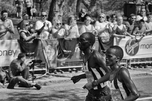 九游平台官网-全国青少年马拉松赛掀起全民参与热潮，全国青少年马术锦标赛